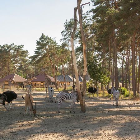 Safari Resort Beekse Bergen Hilvarenbeek Exterior photo